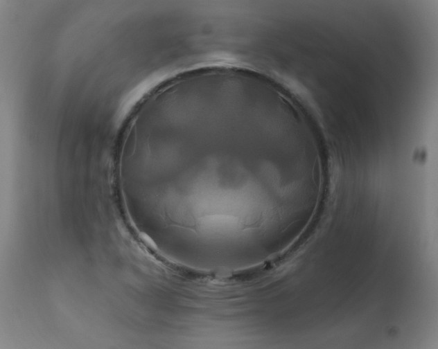 X0000110991318200906191418