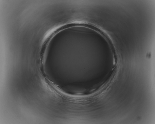 X0000110991319200906191418