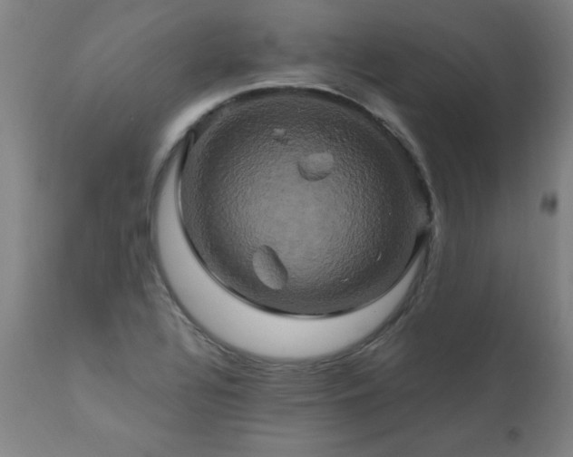 X0000110991320200906191418