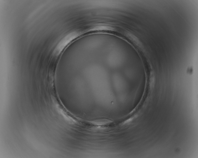 X0000110991321200906191418