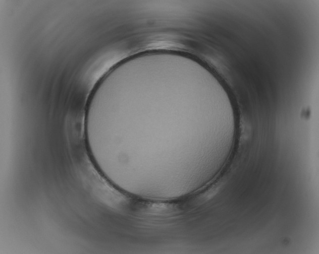 X0000110991322200906191418