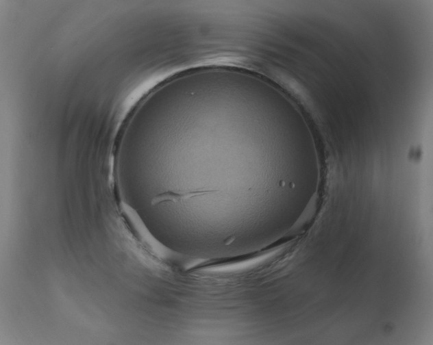 X0000110991324200906191418