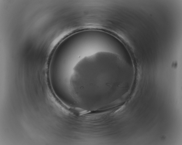 X0000110991325200906191418