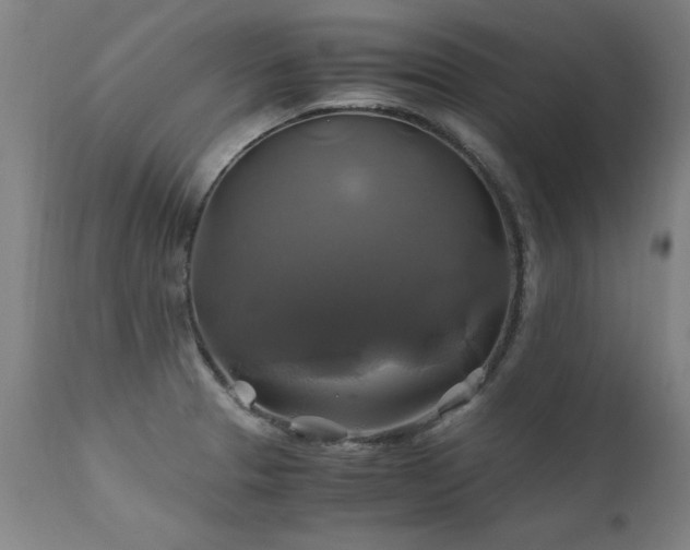 X0000110991329200906191418
