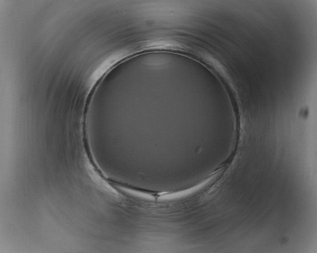 X0000110991330200906191418