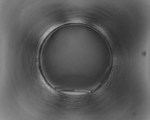 X0000110991331200906191418