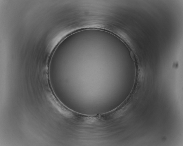 X0000110991332200906191418