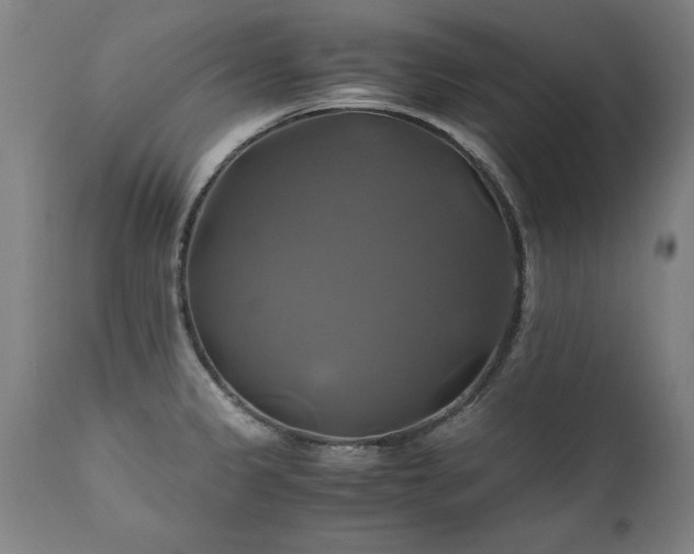 X0000110991333200906191418
