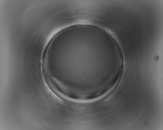 X0000110991334200906191418