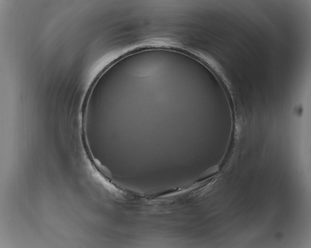 X0000110991335200906191418