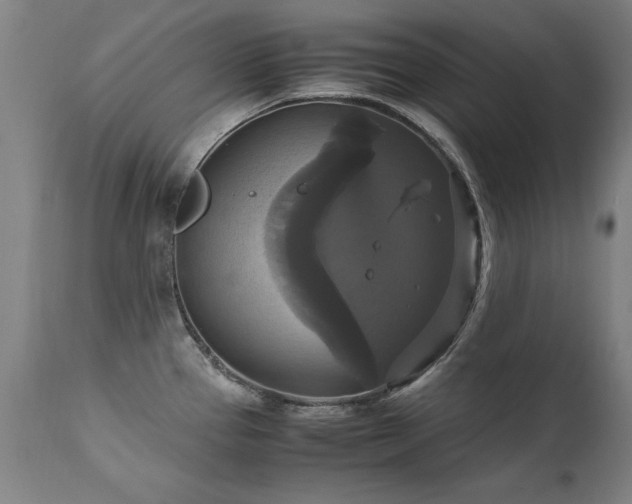 X0000110991337200906191418