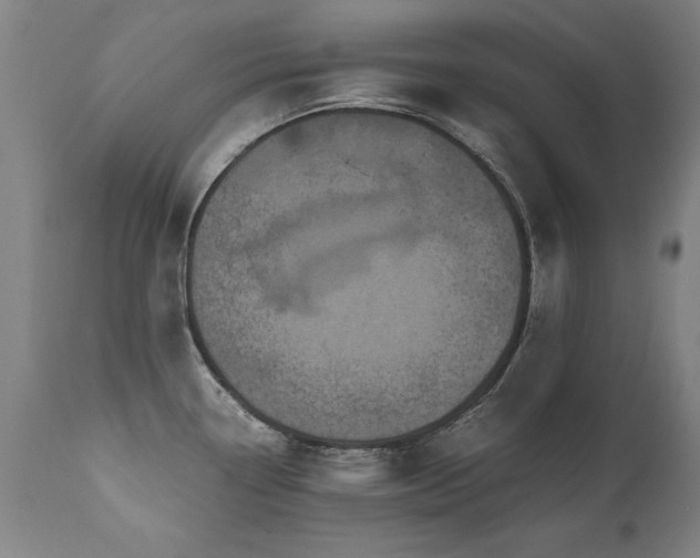X0000110991338200906191418