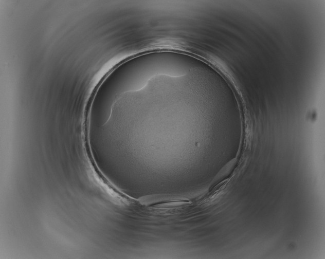 X0000110991339200906191418