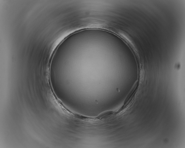 X0000110991340200906191418