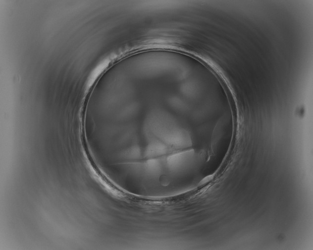 X0000110991341200906191418