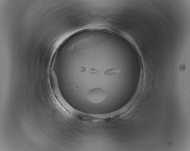 X0000110991344200906191418