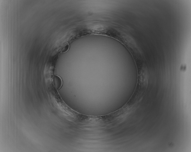 X0000110991346200906191417