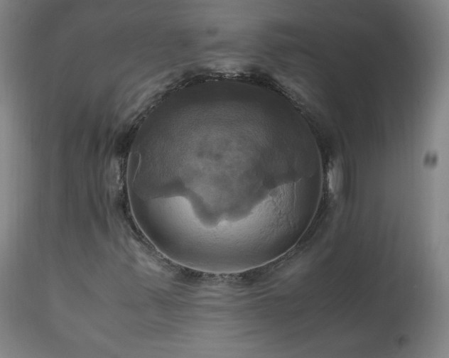 X0000110991347200906191417