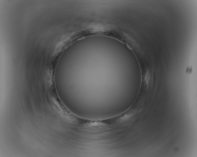 X0000110991348200906191417