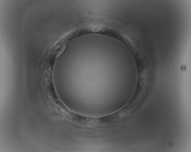 X0000110991349200906191417
