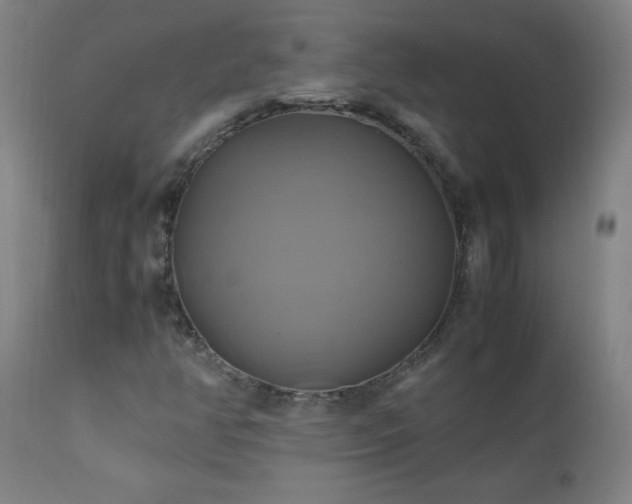 X0000110991350200906191417