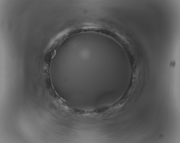 X0000110991351200906191417