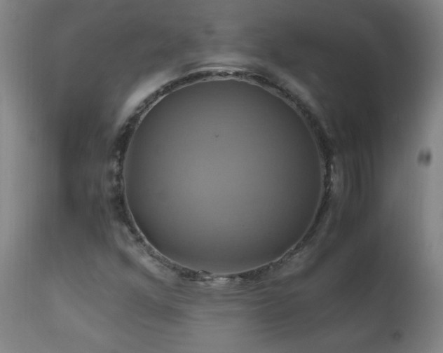 X0000110991352200906191417