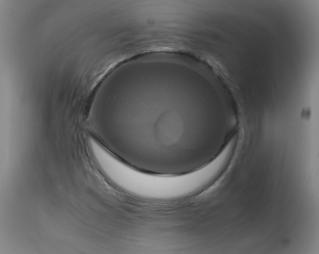 X0000110991353200906191417