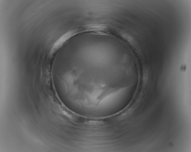 X0000110991354200906191417