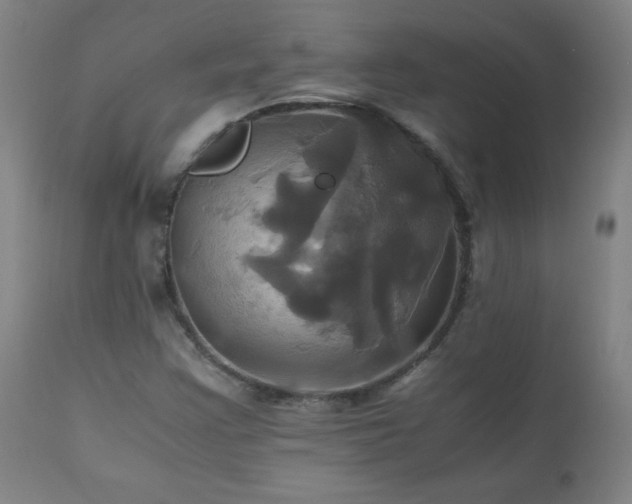 X0000110991355200906191417