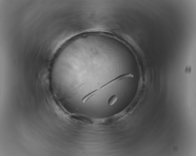 X0000110991356200906191417