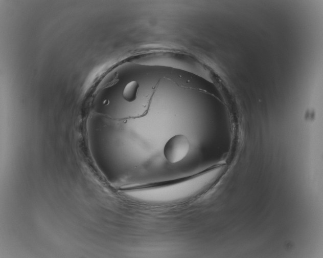 X0000110991357200906191417