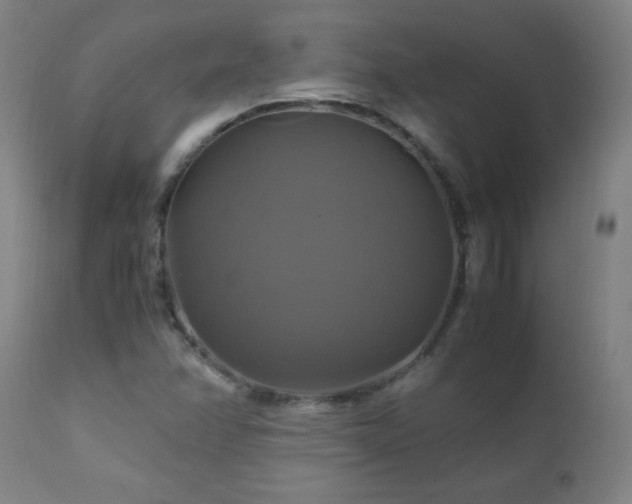 X0000110991358200906191417