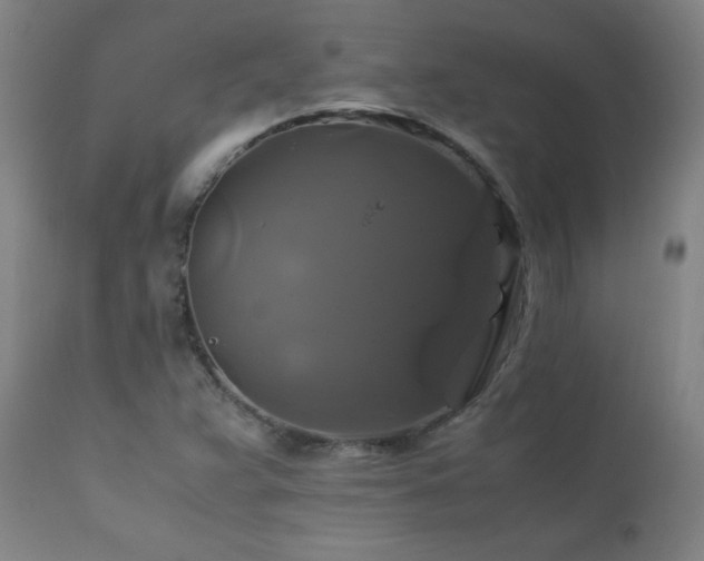 X0000110991359200906191417