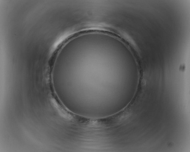 X0000110991360200906191417