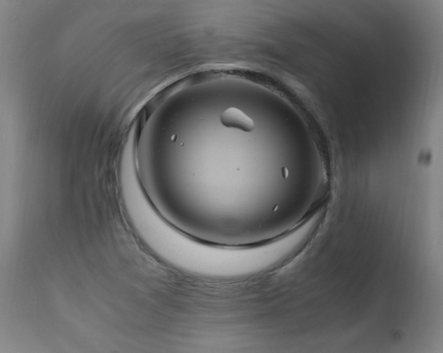 X0000110991361200906191417