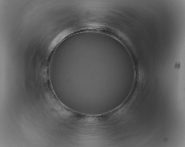 X0000110991362200906191417
