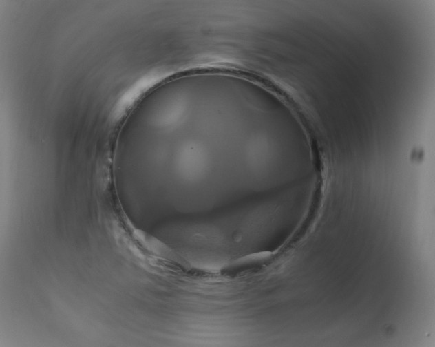 X0000110991363200906191417