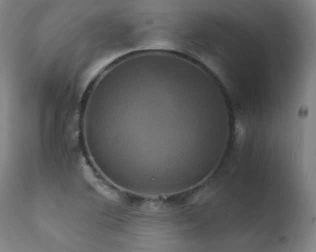 X0000110991364200906191417
