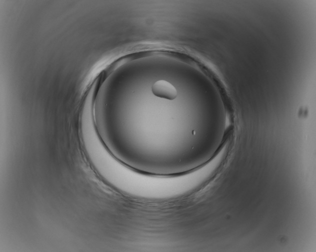 X0000110991365200906191417