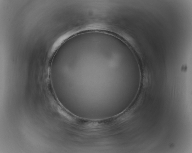 X0000110991366200906191417