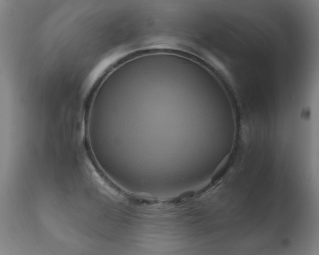 X0000110991368200906191417