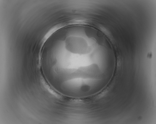 X0000110991370200906191417