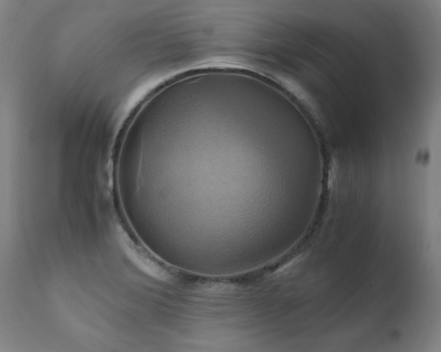 X0000110991372200906191417