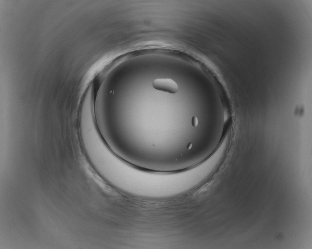 X0000110991373200906191417