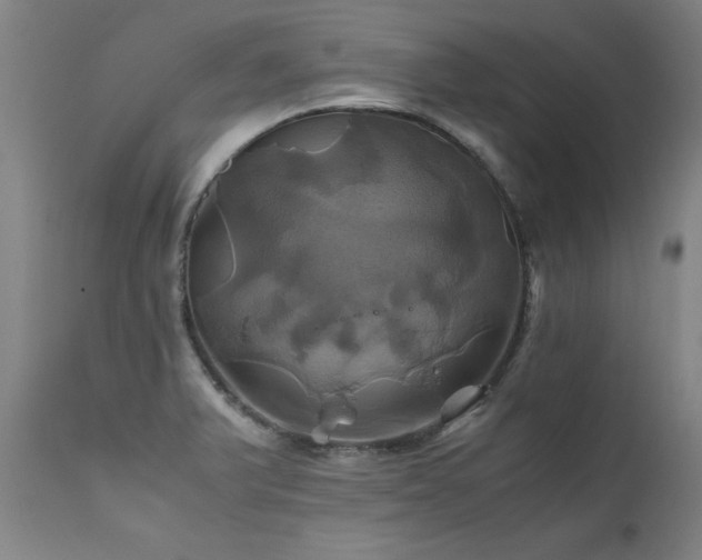 X0000110991375200906191417