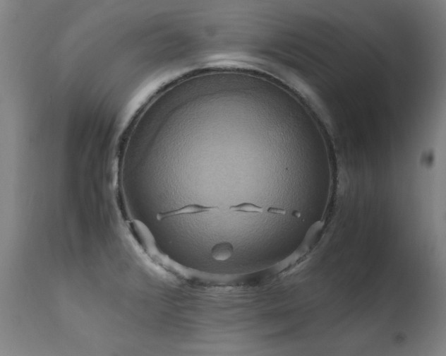 X0000110991376200906191417