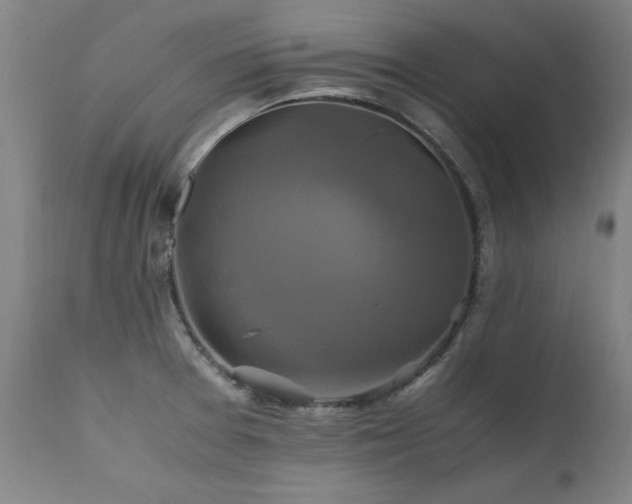 X0000110991377200906191417