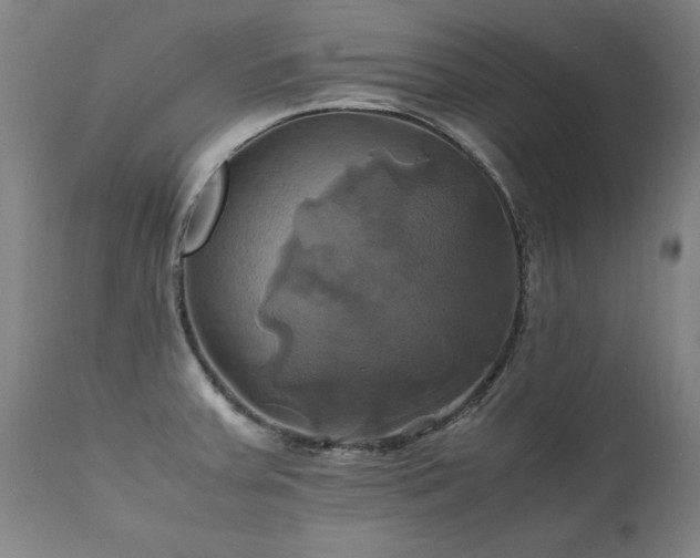 X0000110991379200906191417