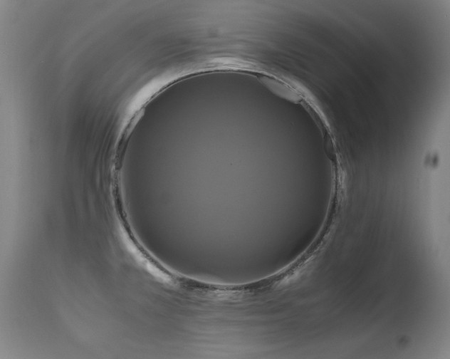 X0000110991381200906191417